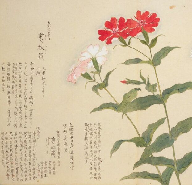 파일:전추라(매원화보).jpg